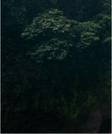 లోకేశ్ గ్రాఫ్ అమాంతం పెంచేసిన యువగళం..!