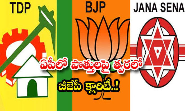 ఏపీలో పొత్తులపై బీజేపీ వ్యూహమేంటి?
